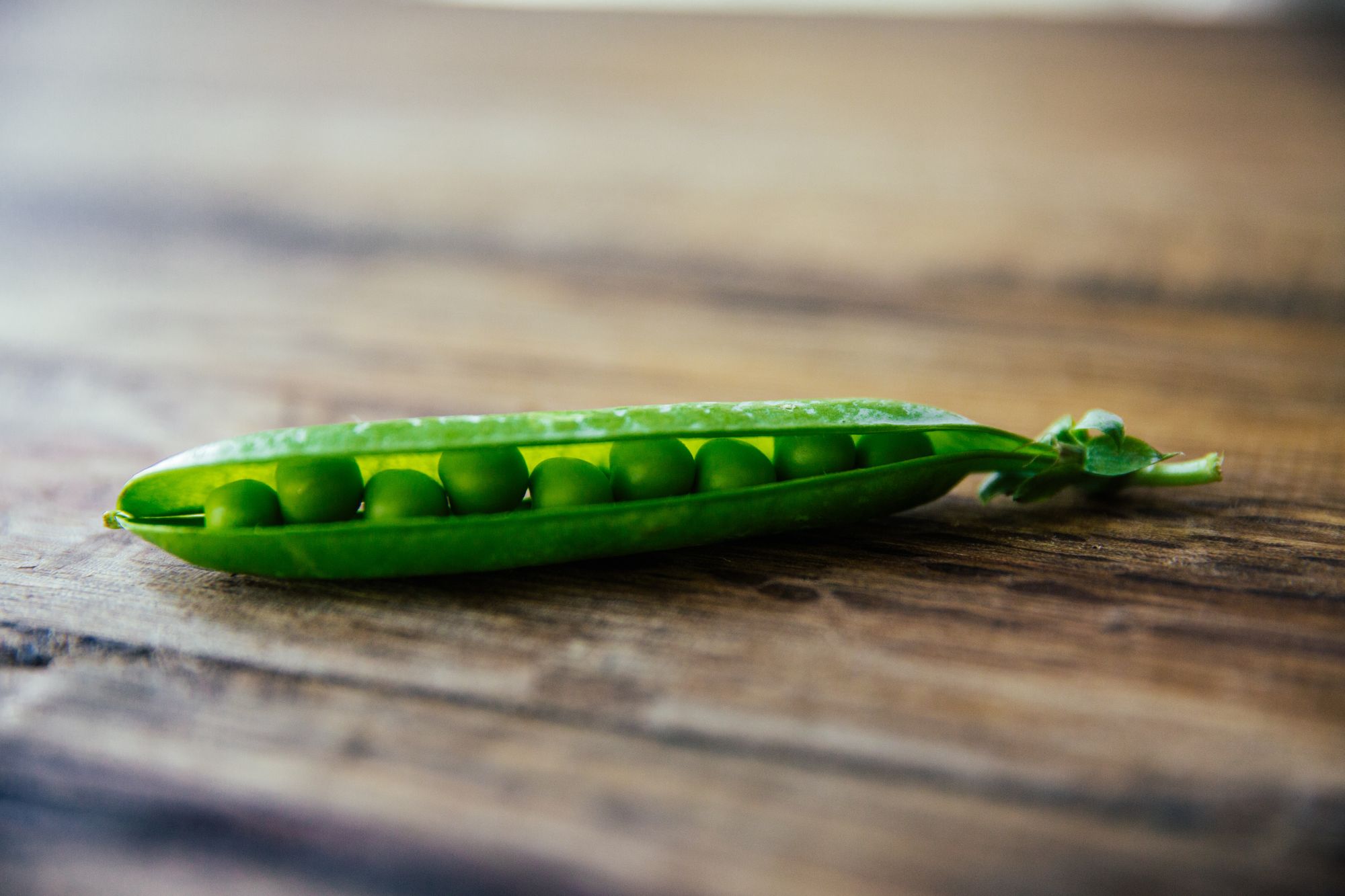 Plant-based Diets: Practical Or Food For Thought?