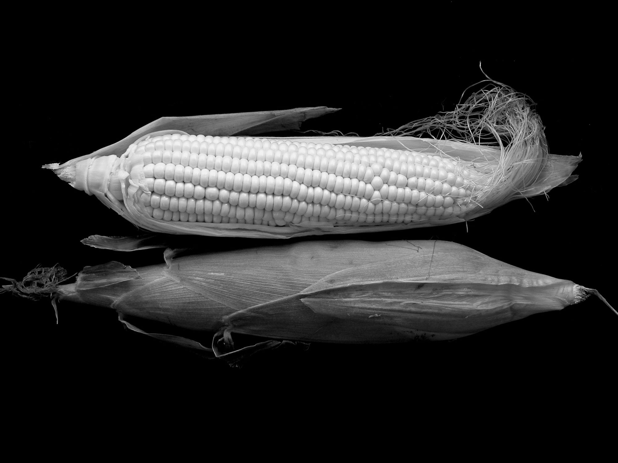 GMOs and Food: Do They Deserve the Bad Press?