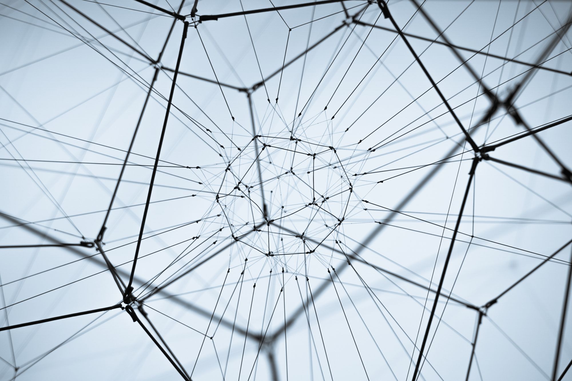 From Neuroscience to Stem Cell Therapy: An Interview with Dr. Christopher Phillips