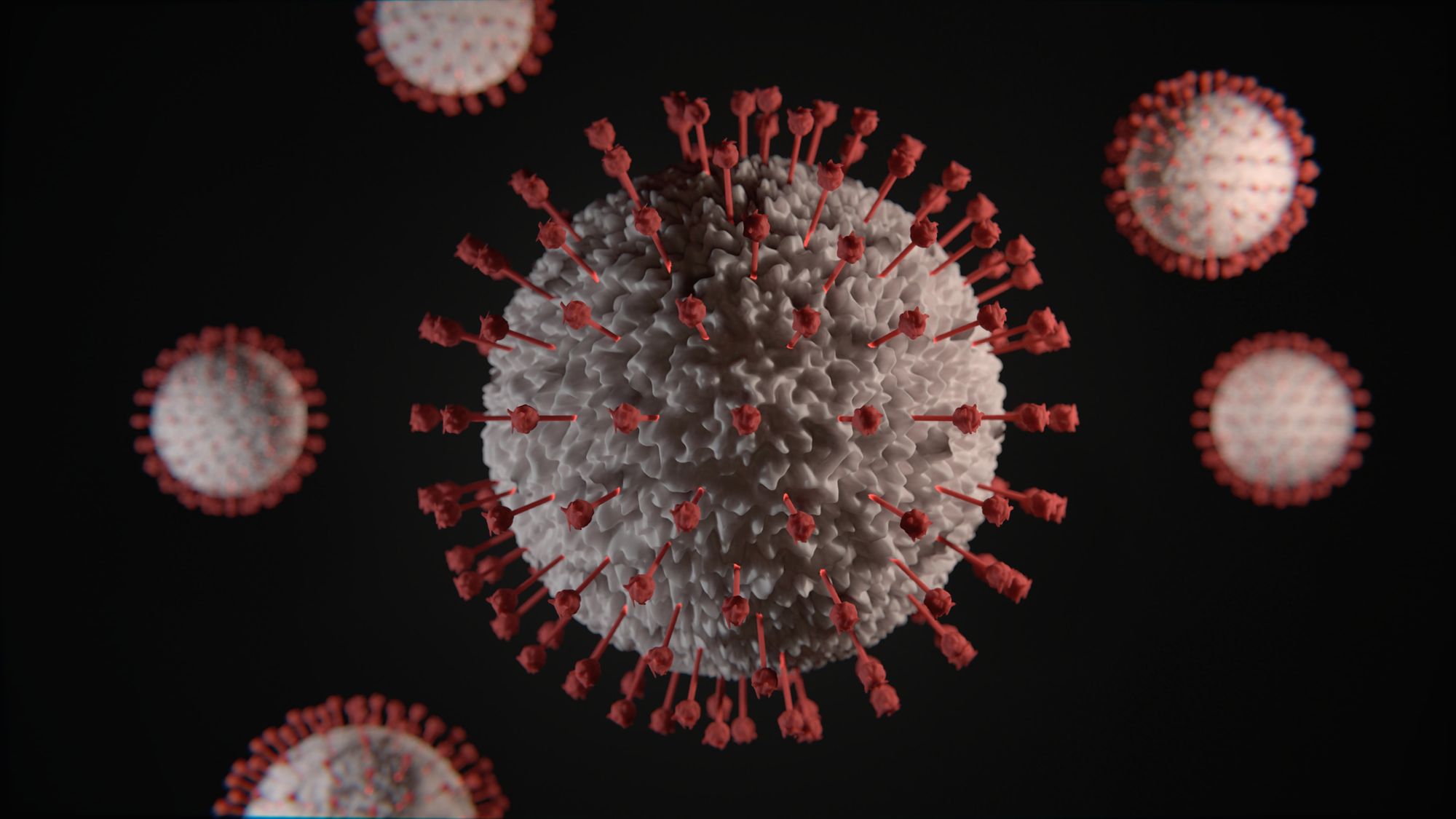 UPDATE: The risk of widespread transmission of coronavirus (COVID-19) in the US in the coming weeks is moderate to high